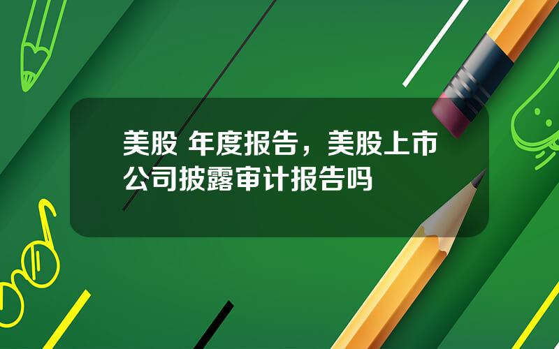 美股 年度报告，美股上市公司披露审计报告吗